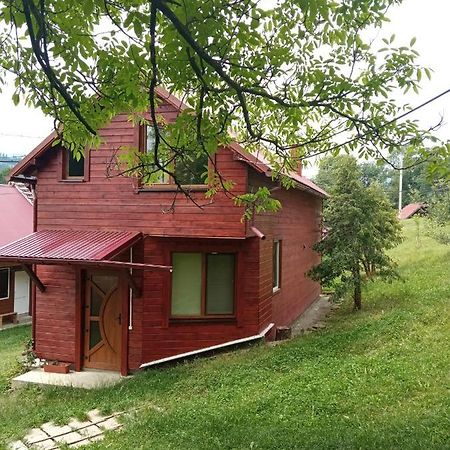 Котедж "Барвінок" Verkhovyna Exterior foto
