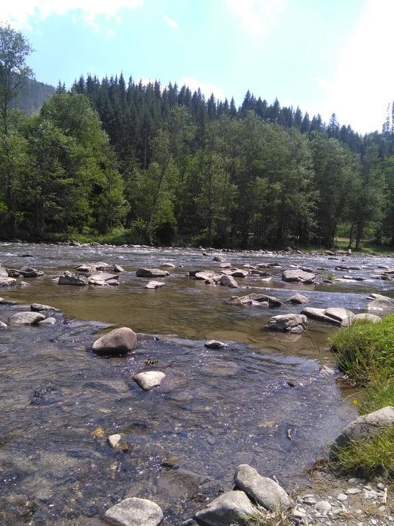 Котедж "Барвінок" Verkhovyna Exterior foto